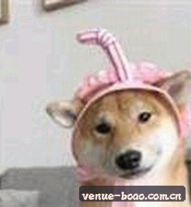 刘涛