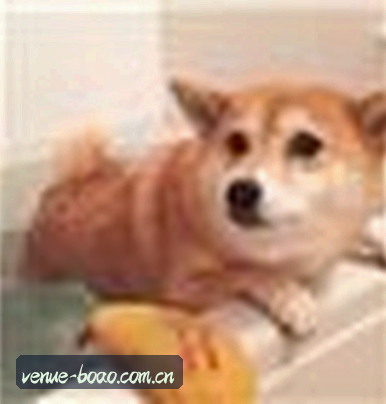 孙浩